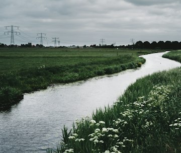 Tranquil Riverbank in Amsterdam