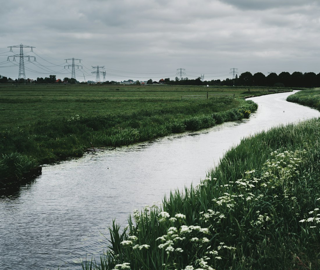 Tranquil Riverbank in Amsterdam