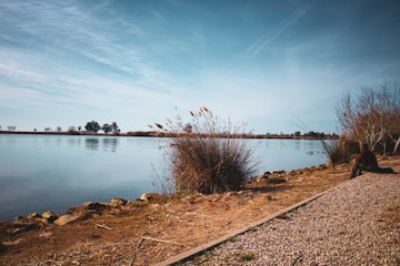 Patient Angler by the Lake