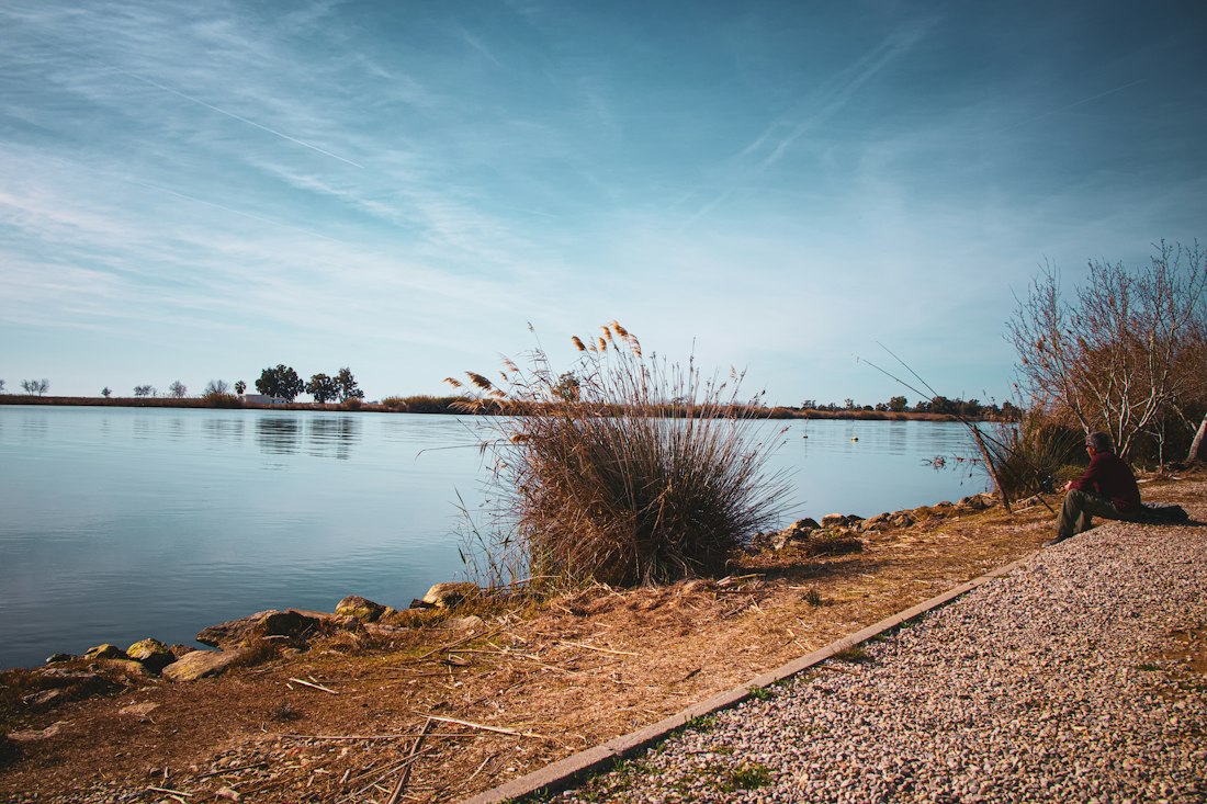 Patient Angler by the Lake