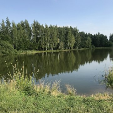 Lakeside Serenity