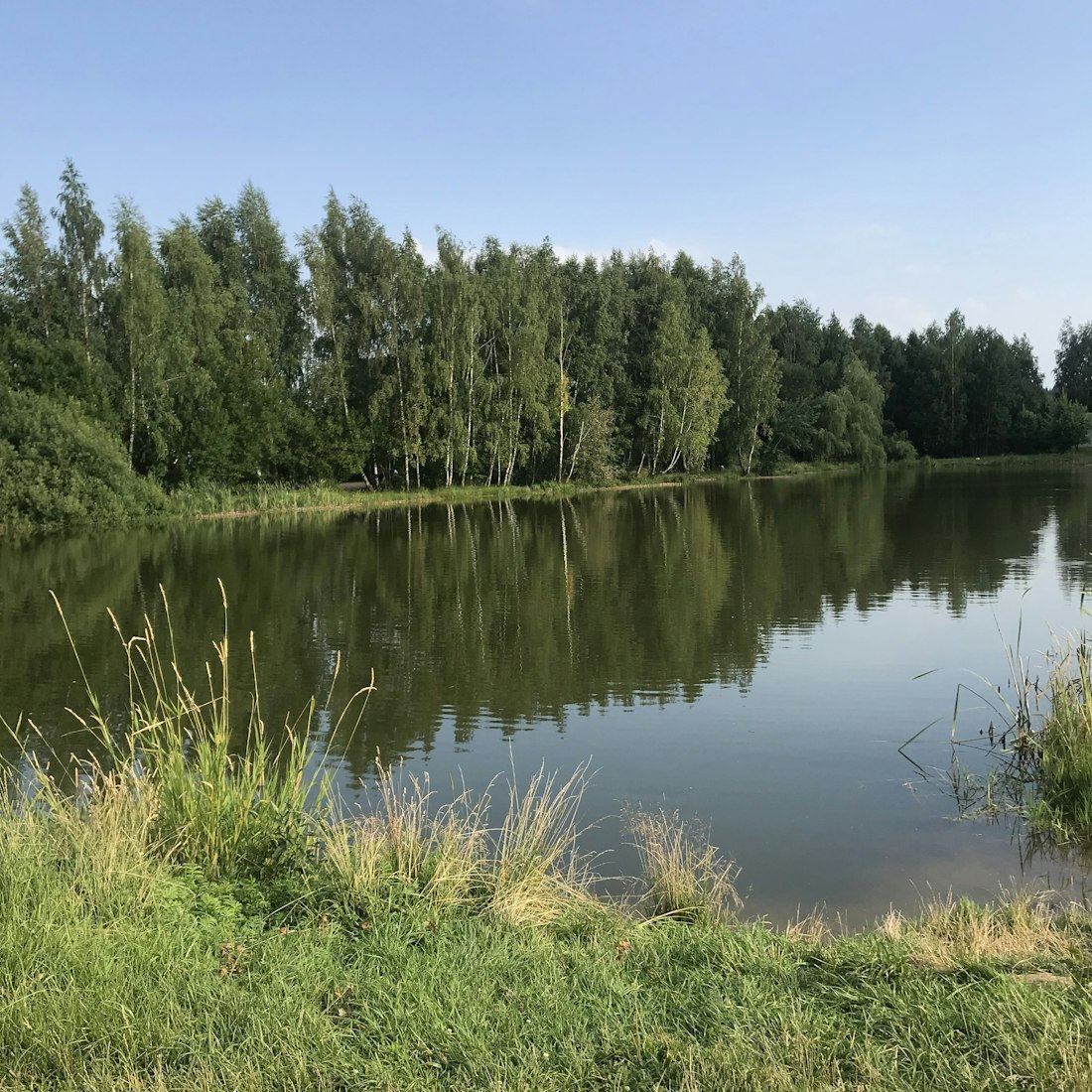 Lakeside Serenity