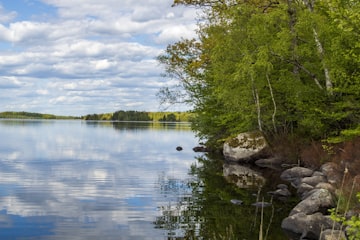 Tranquil Lakeside Reflection