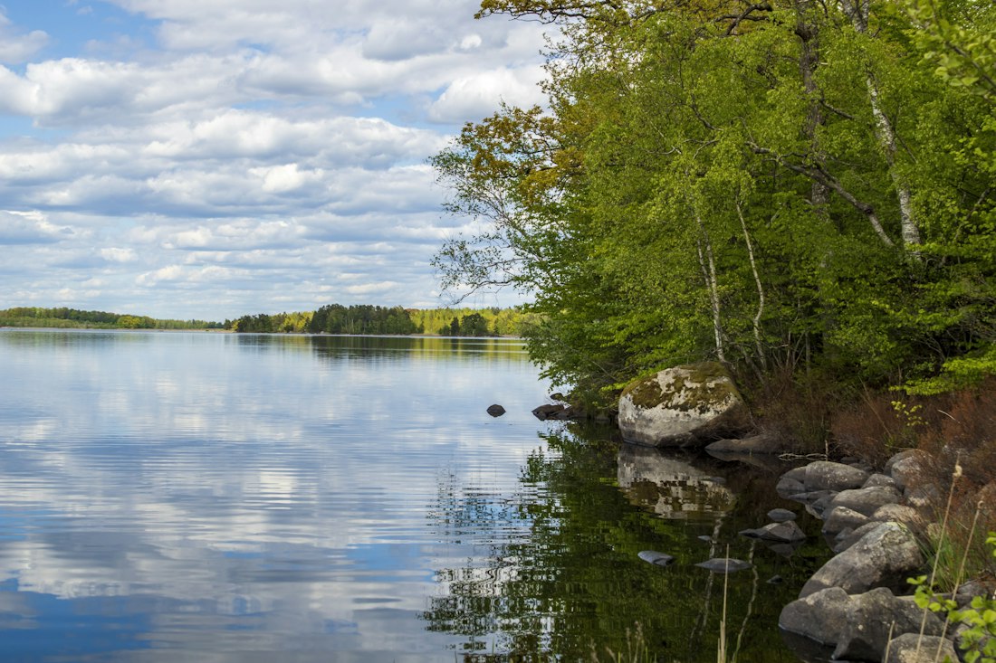 Tranquil Lakeside Reflection