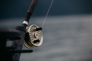 Gold Fishing Reel Close-Up