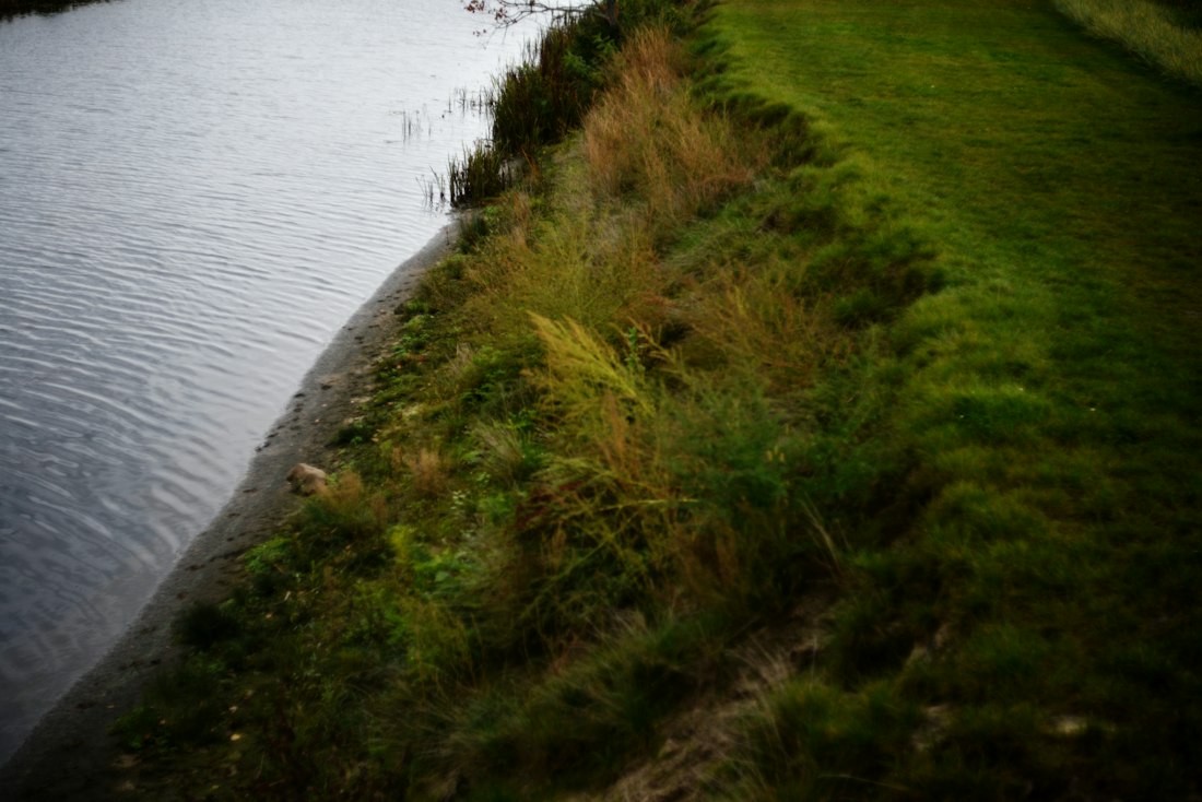 Riverside Tranquility