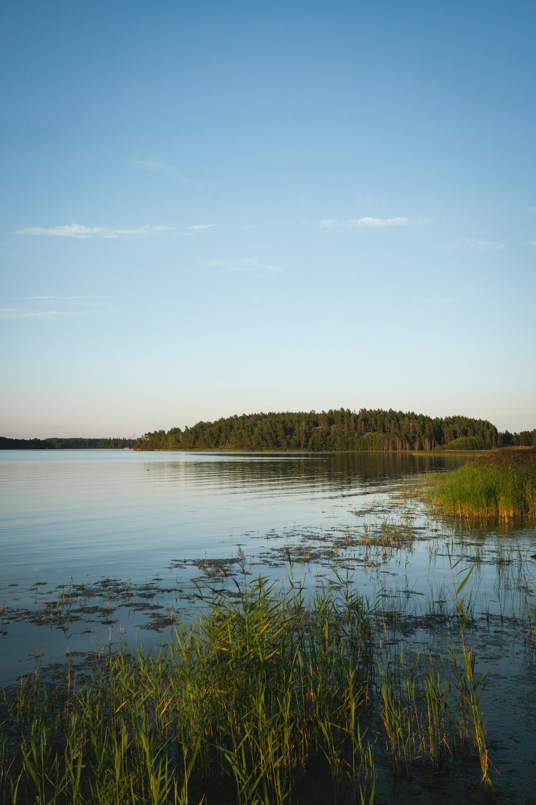 Lakeside Tranquility