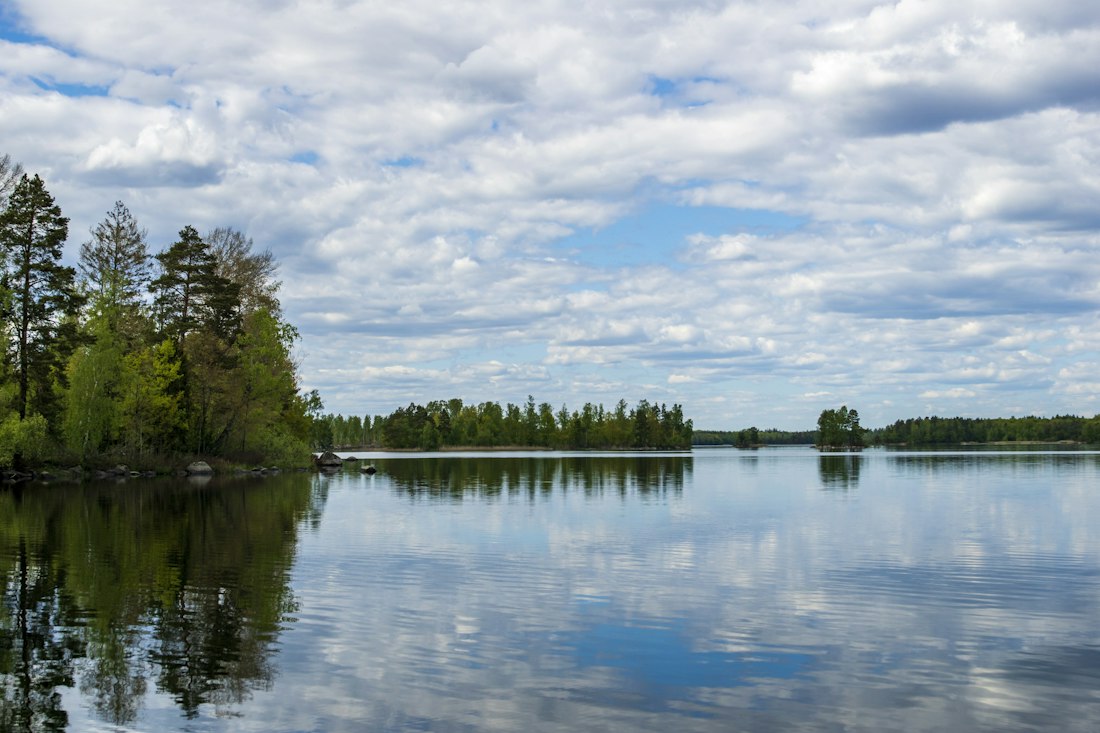 Serene Lakeside Reflection