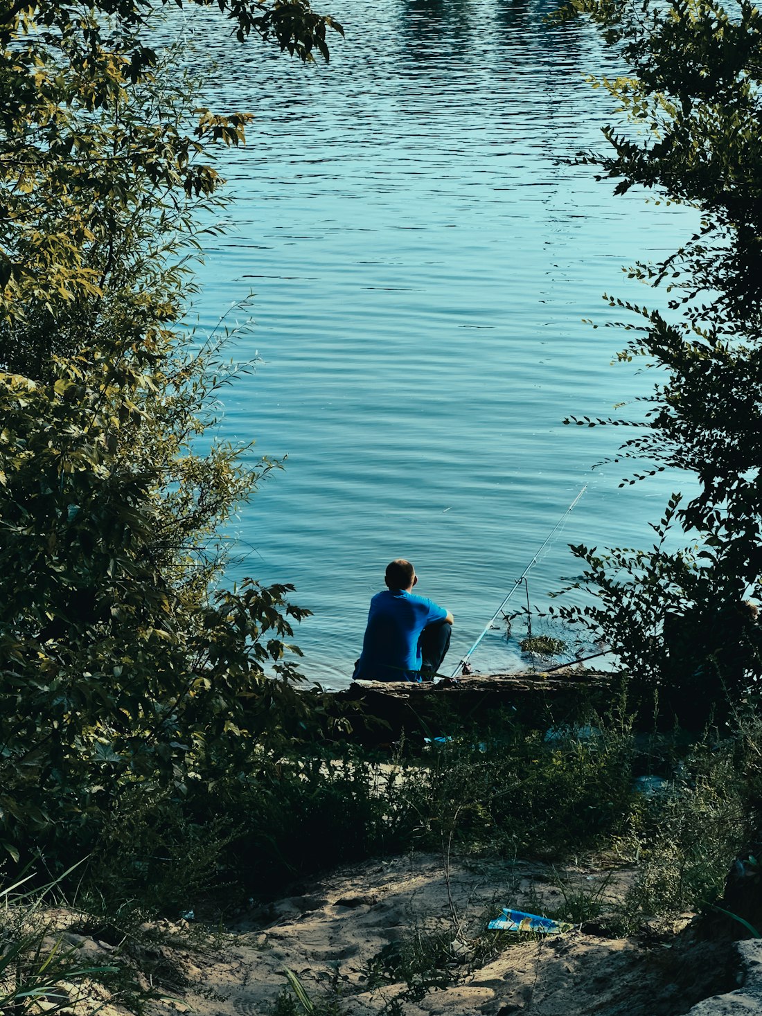 Lakeside Solitude