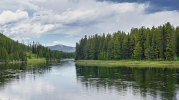 Riverside Serenity
