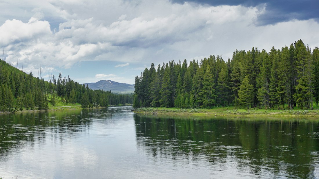 Riverside Serenity