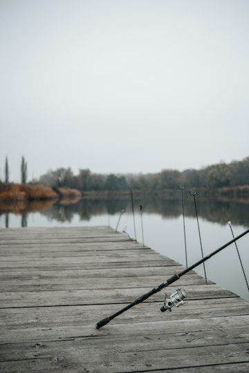Fishing rods and a reel beside the water