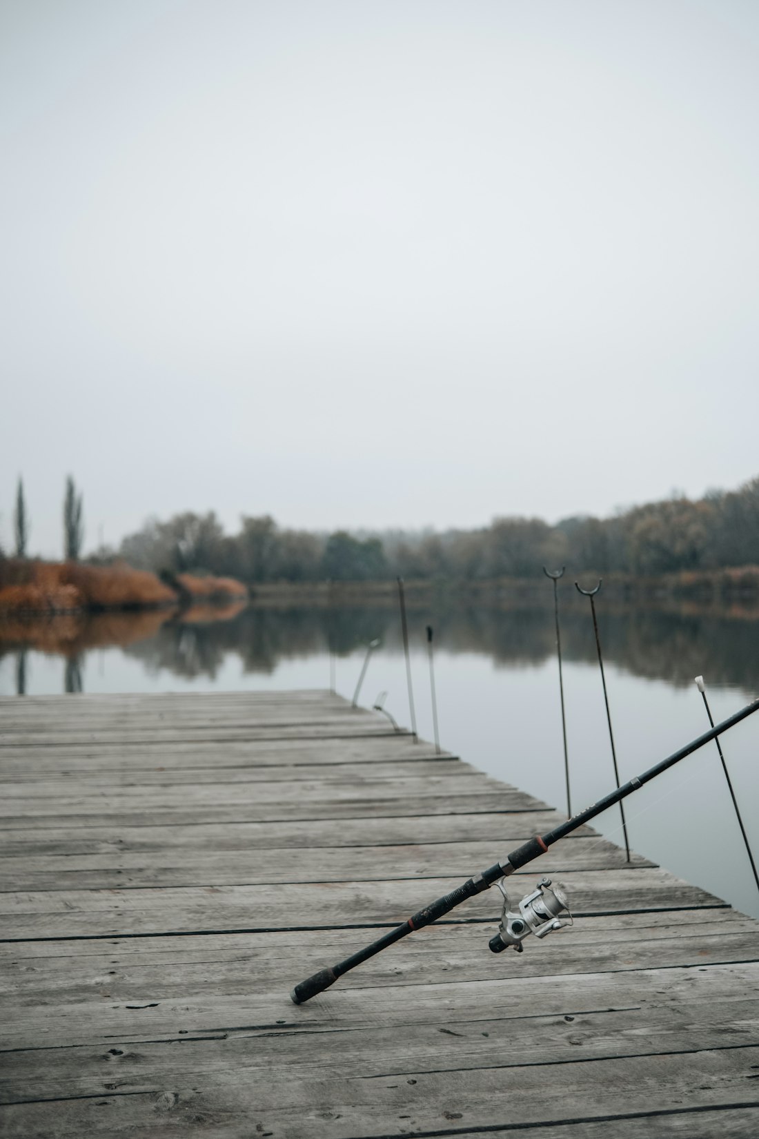Fishing rods and a reel beside the water