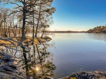 Lakeside Calm in Stockholm