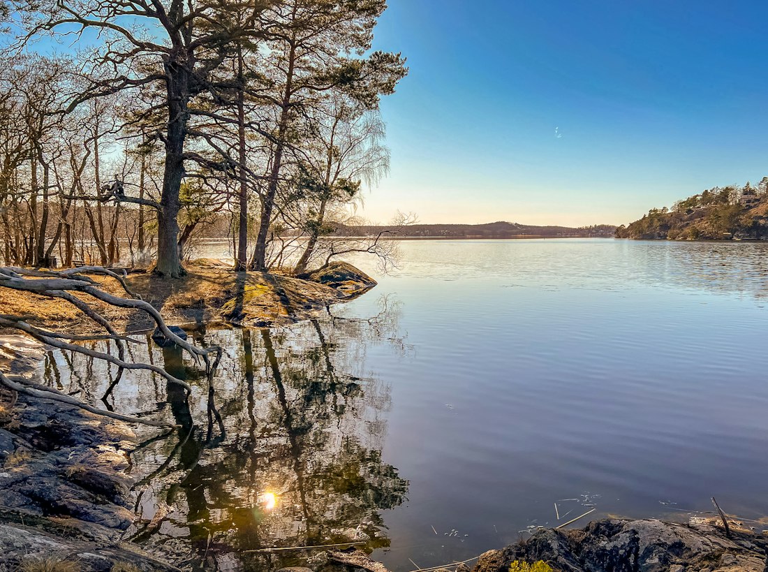 Lakeside Calm in Stockholm