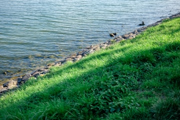 Grassy Riverbank by Liana S