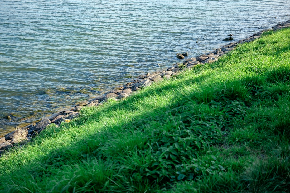 Grassy Riverbank by Liana S