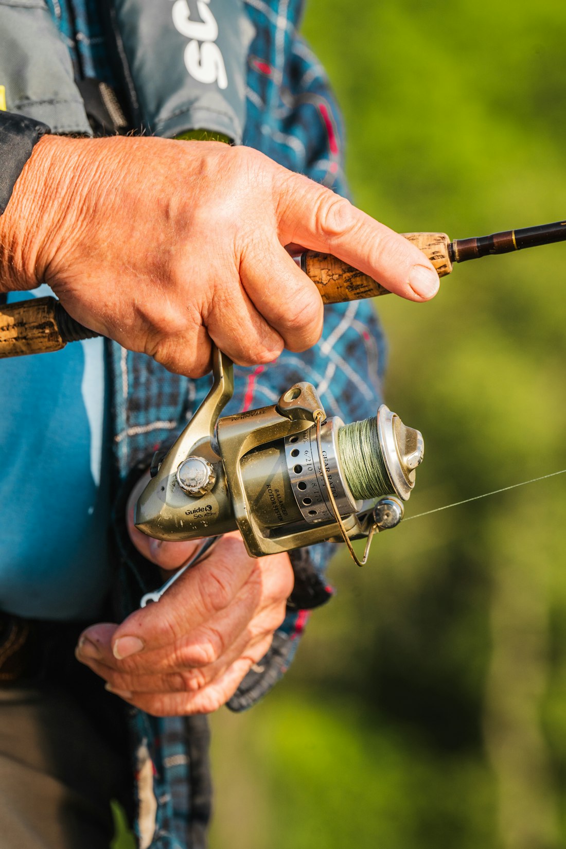 Summer Fishing Close-Up