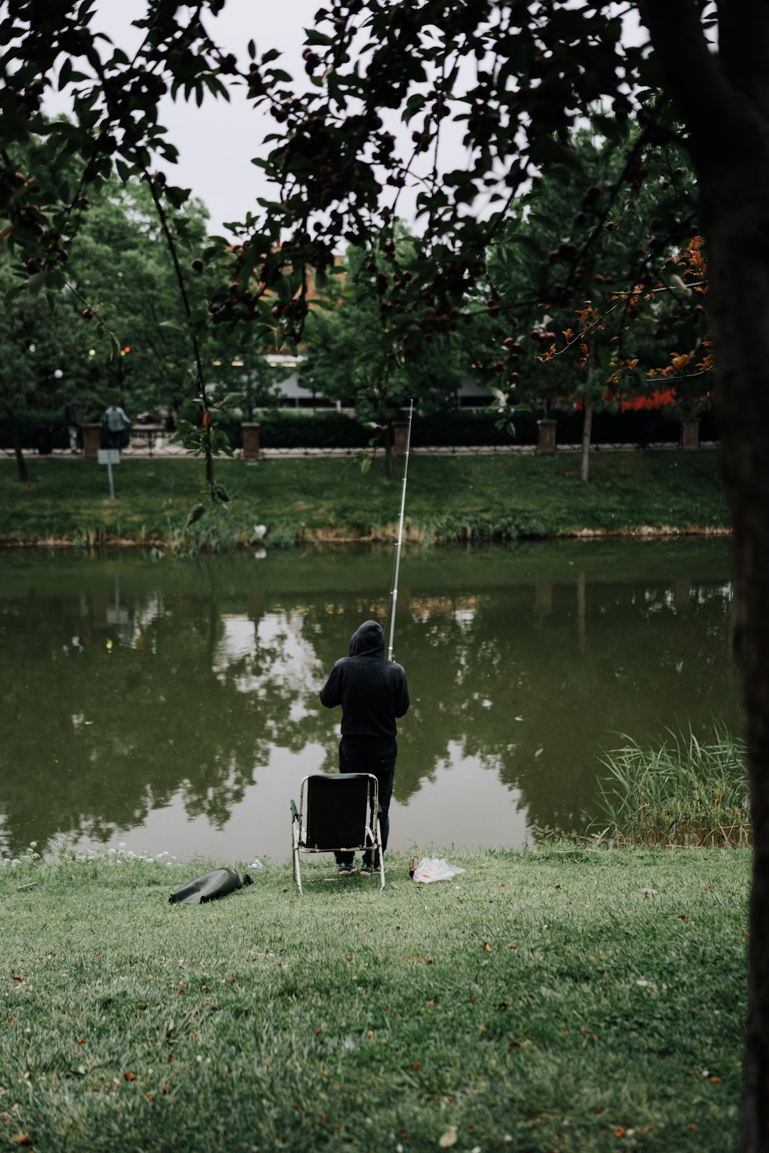 Quiet Pond Fishing