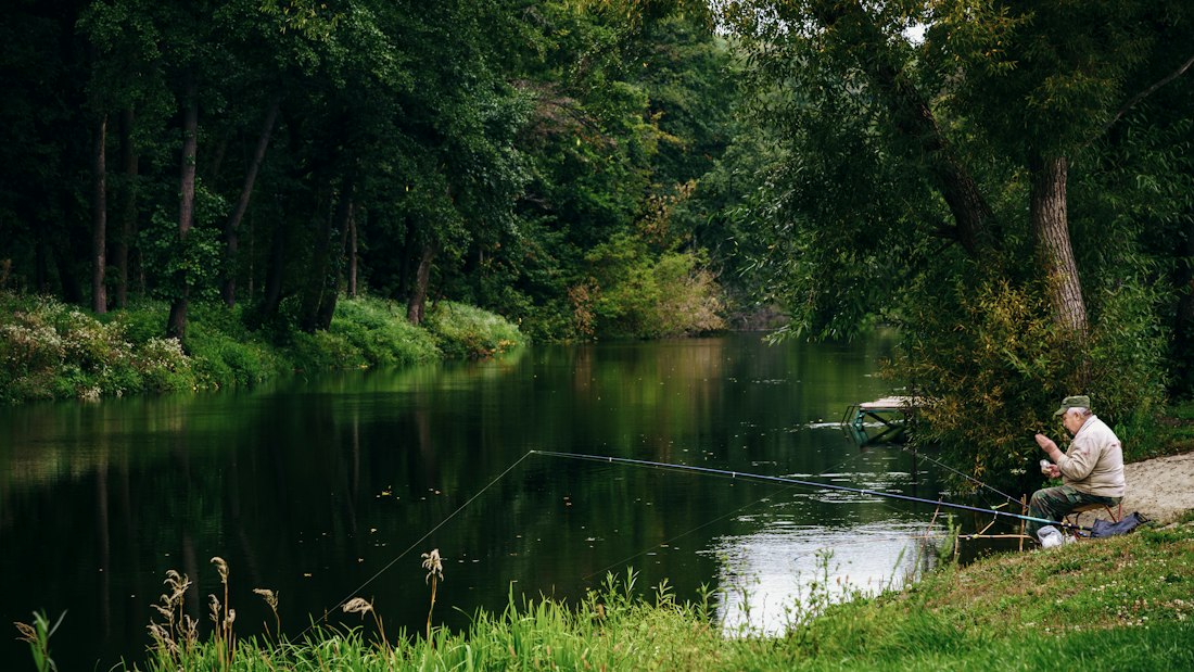 Tranquil Pond Fishing